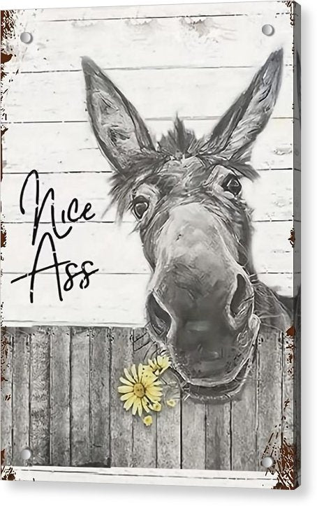 Funny Donkey - Acrylic Print